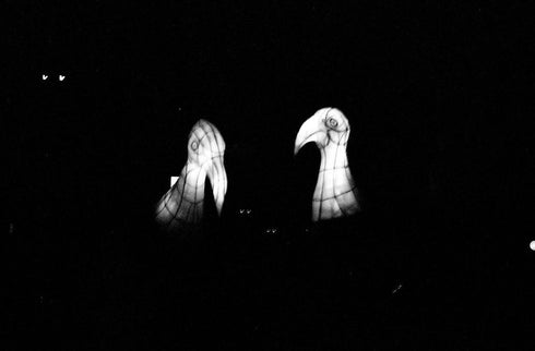 白黒フィルム(モノ B&W)24枚撮り
