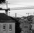 白黒フィルム(モノ B&W)24枚撮り